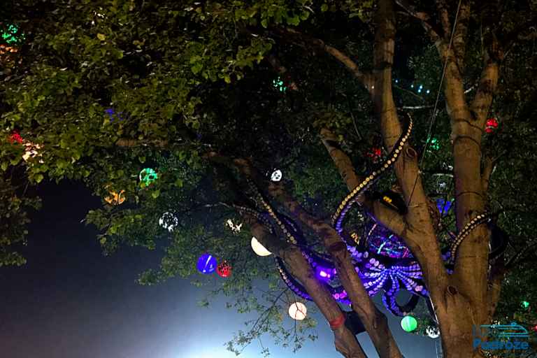 photo: festival stage at night