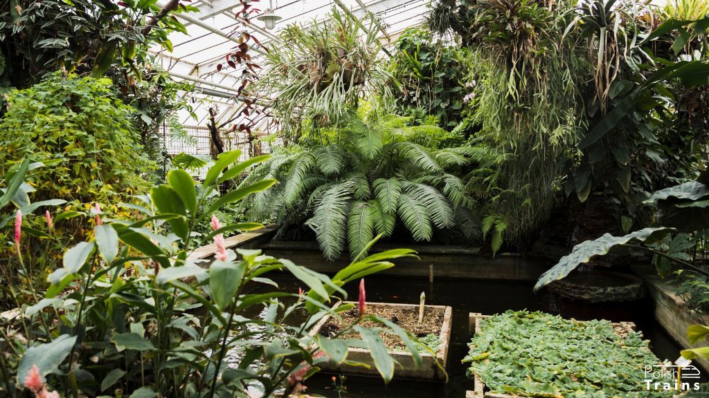 Park Planten un Blomen Park Planten un Blomen