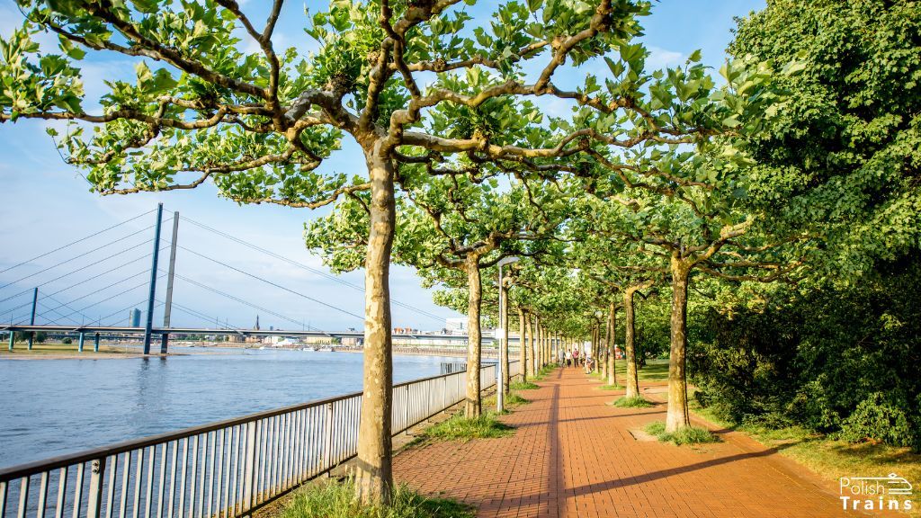 Rhine embankment Rhine embankment