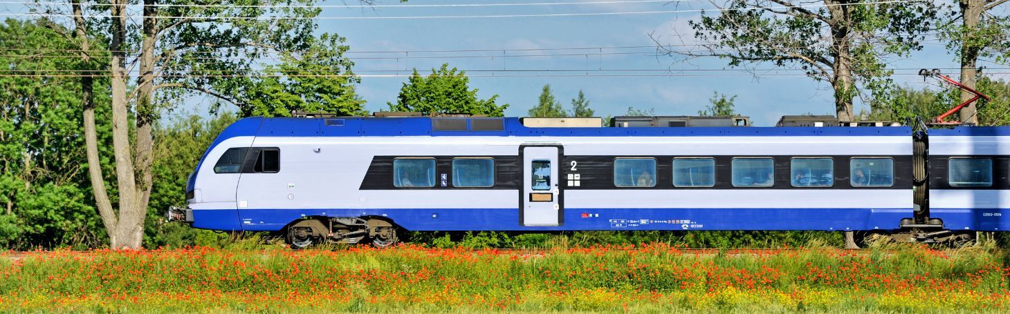 Train