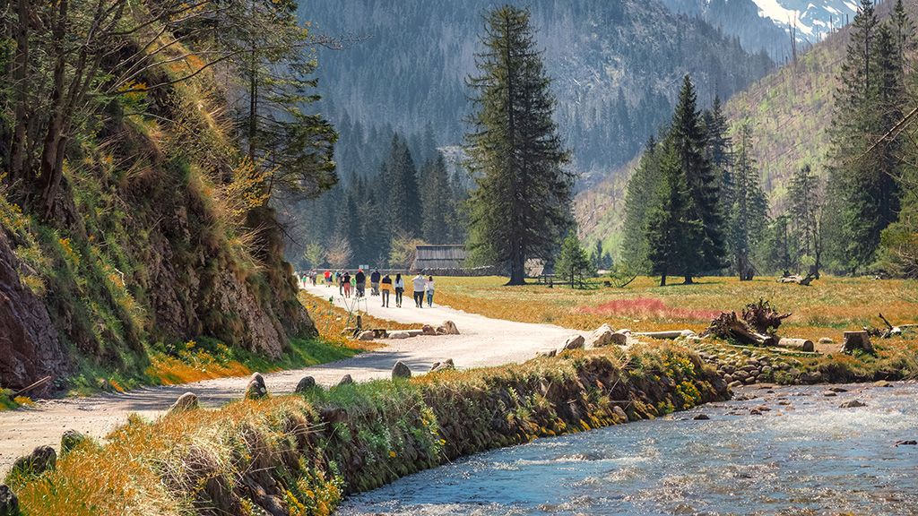 Path through the Koscieliska Valley