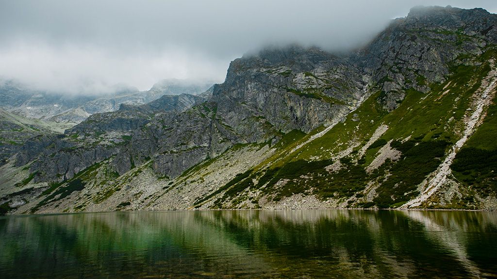 Black Caterpillar Pond