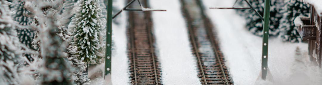 banner (1)