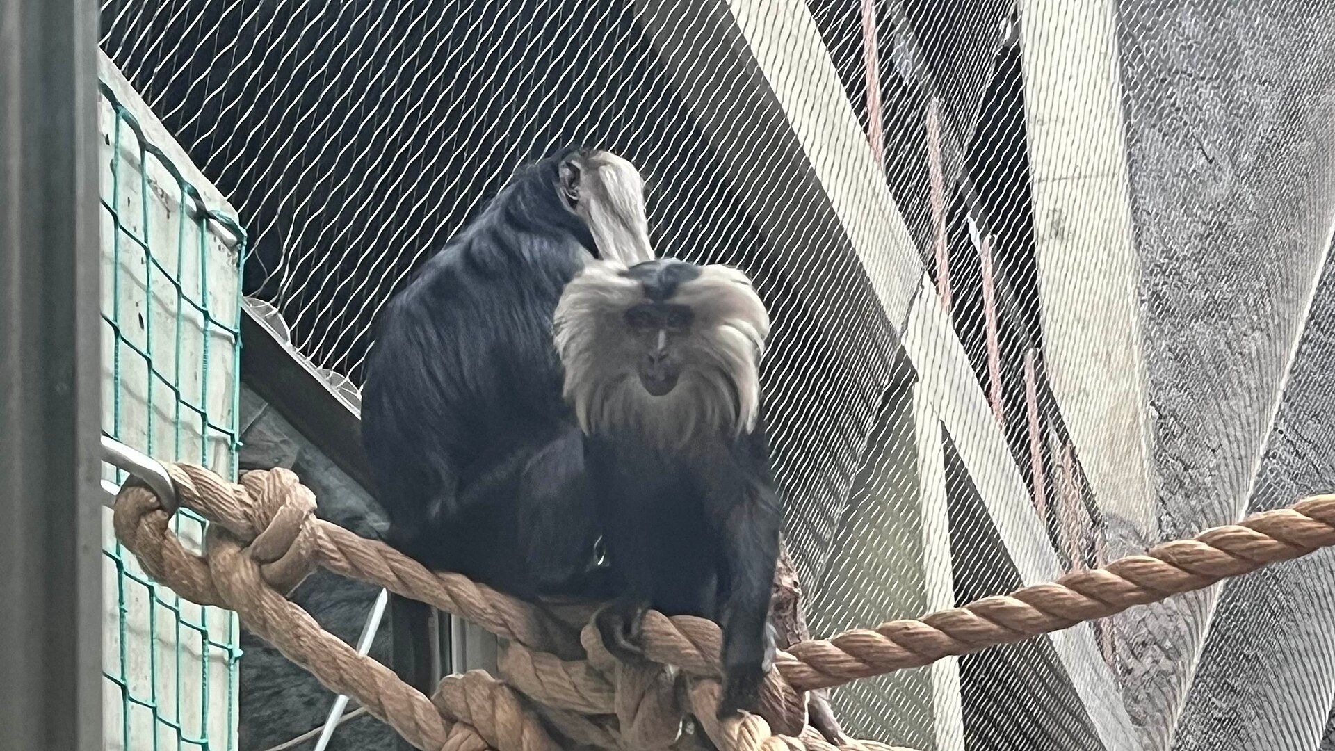 Orientarium ZOO Łódź, atrakcja w pobliżu dworca Łódź Kaliska
