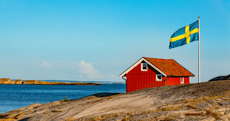 the flag of Sweden