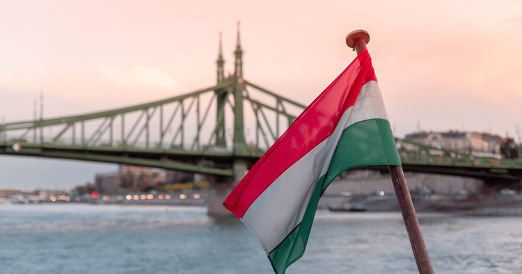 Hungarian flag on the background of the bridge