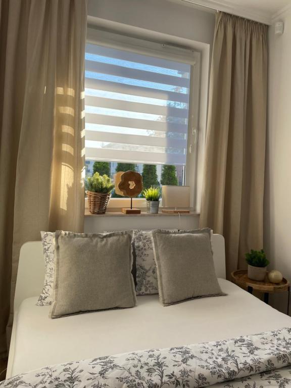 Apartament Stella Park, place to stay near Stargard station