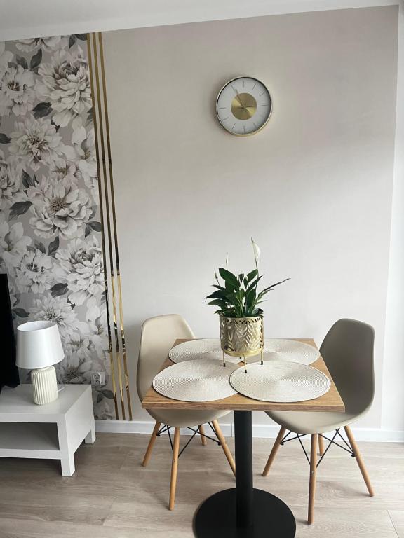 Apartament Rynek Strzelin, place to stay near Strzelin station