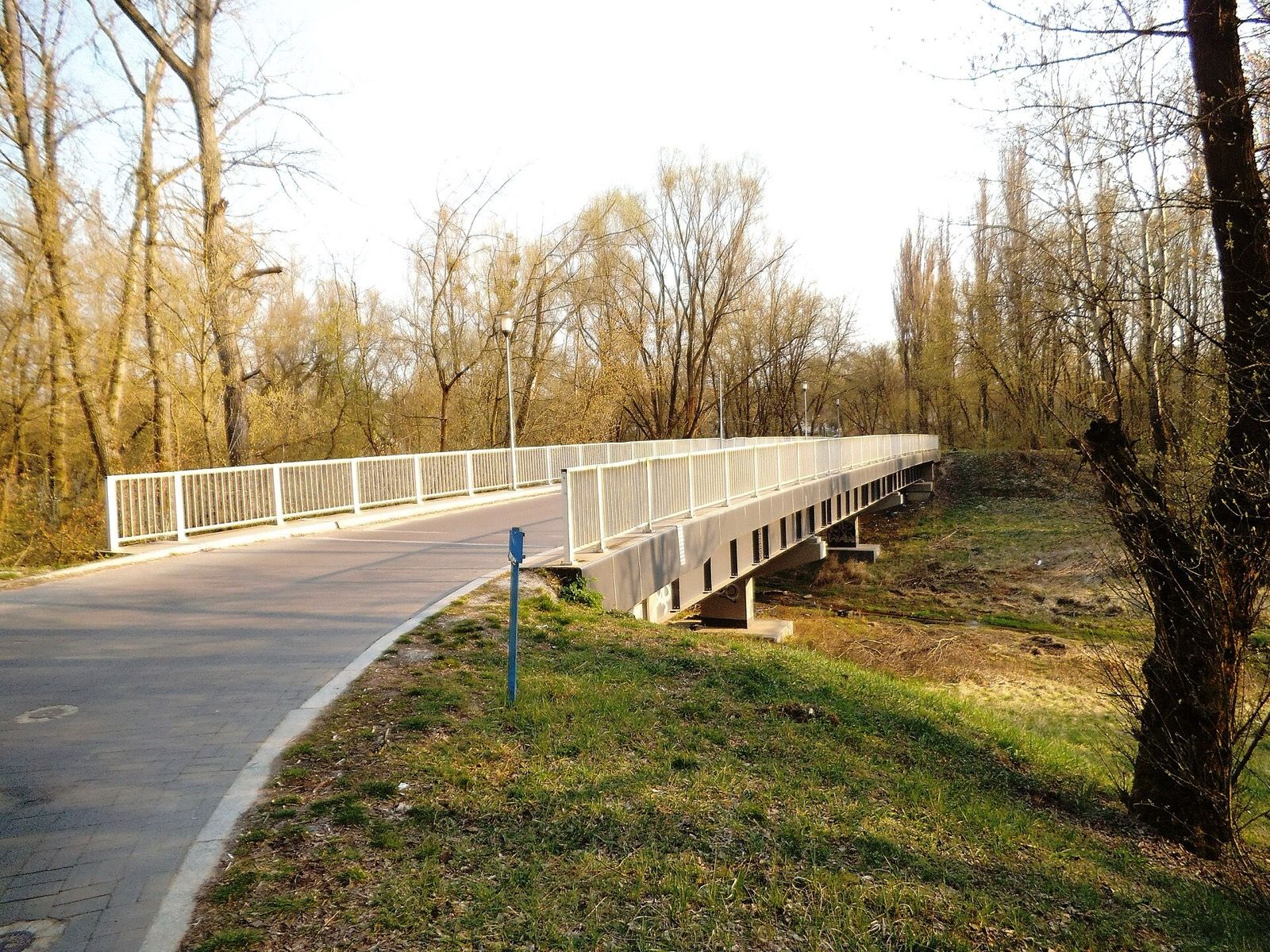 Rezerwat przyrody Kępa Bazarowa, atrakcja w pobliżu dworca Toruń Główny