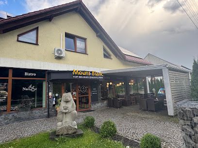 Mount Blanc, near Wisła Uzdrowisko station