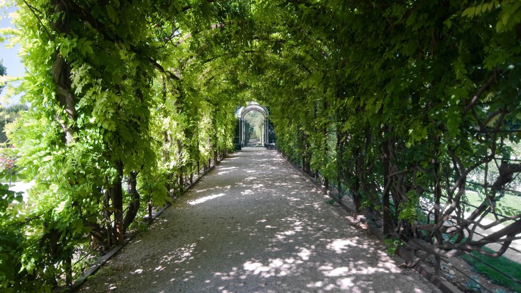 The Hornbeam Bindage The Hornbeam Bindage