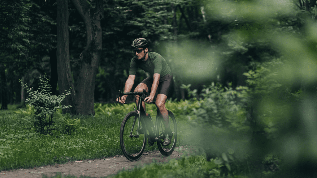 Cycling routes Cycling routes