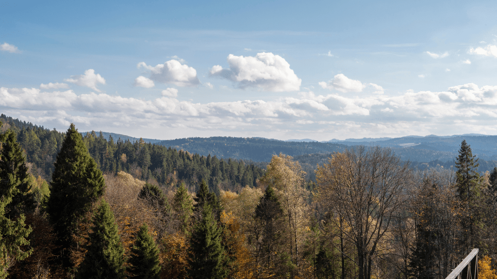 Parkowa Mountain in Krynica Parkowa Mountain in Krynica