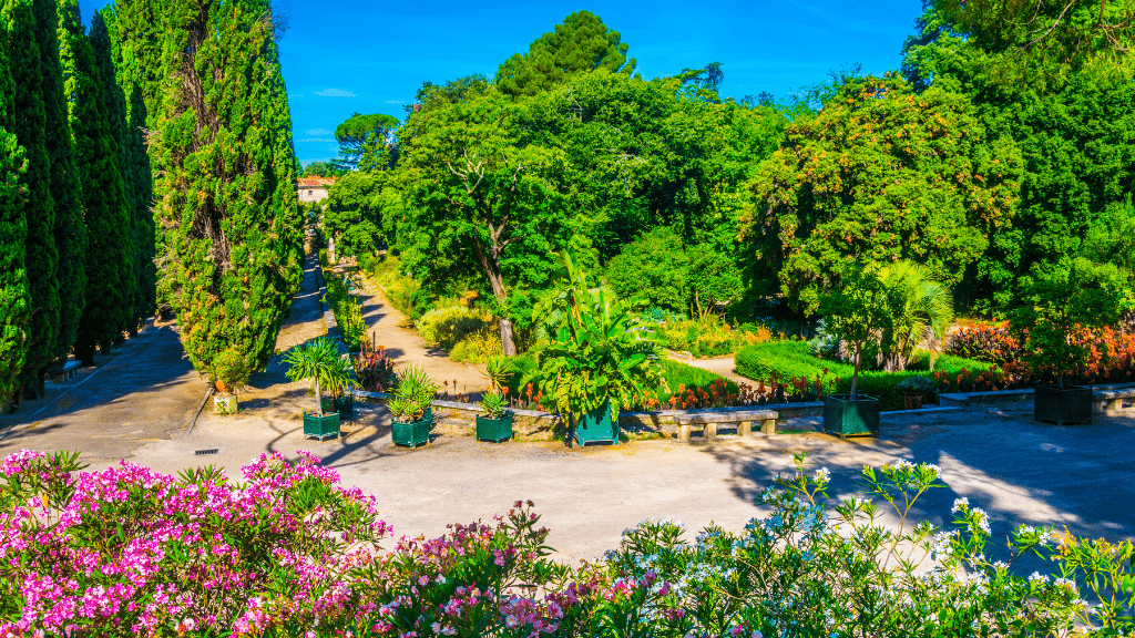 Montpellier Botanical Garden Montpellier Botanical Garden