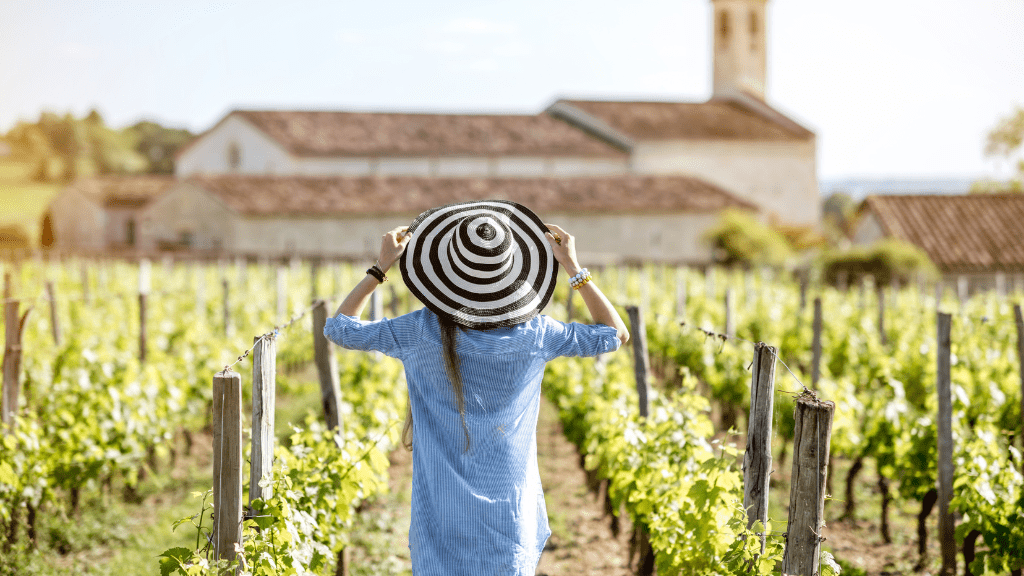 City of wine City of wine