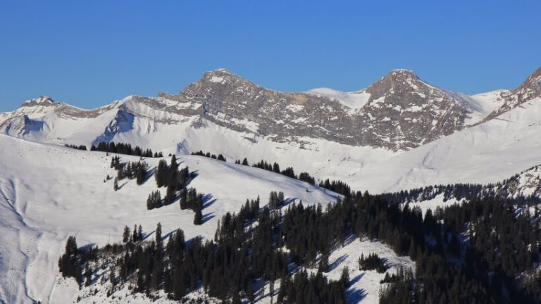 Train du Chocolat - panoramic railway in Switzerland Train du Chocolat - online train ticket