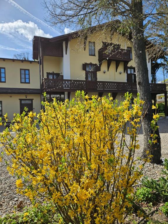 Villa Musik - apartments in historical Villa , Baden, place to stay near Wien Hauptbahnhof station
