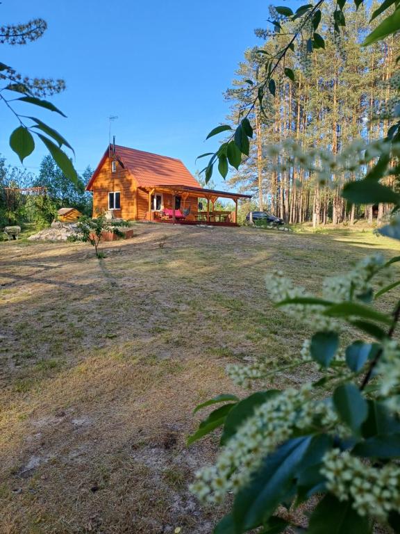 Domek w lesie, place to stay near Biłgoraj station