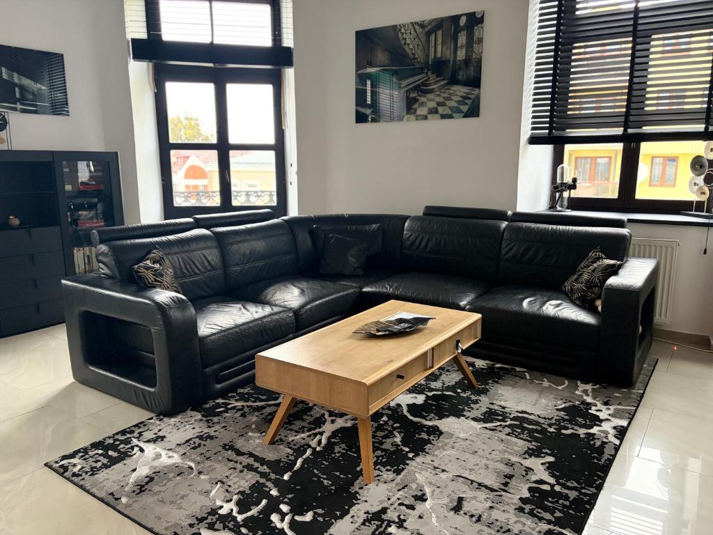 Apartamenty Łuczkowskiego z widokiem na Stary Rynek i Studnie 1 102m2, place to stay near Chełm Miasto station