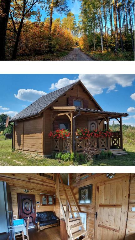 Domek Triftberg, place to stay near Chojna station