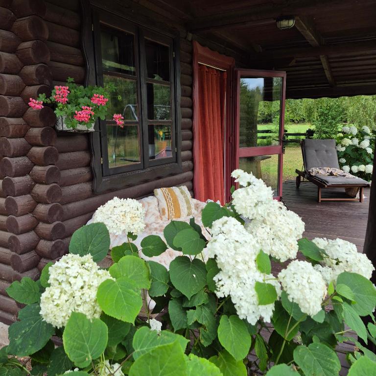 Wieża marzeń, place to stay near Dąbrowa Białostocka station