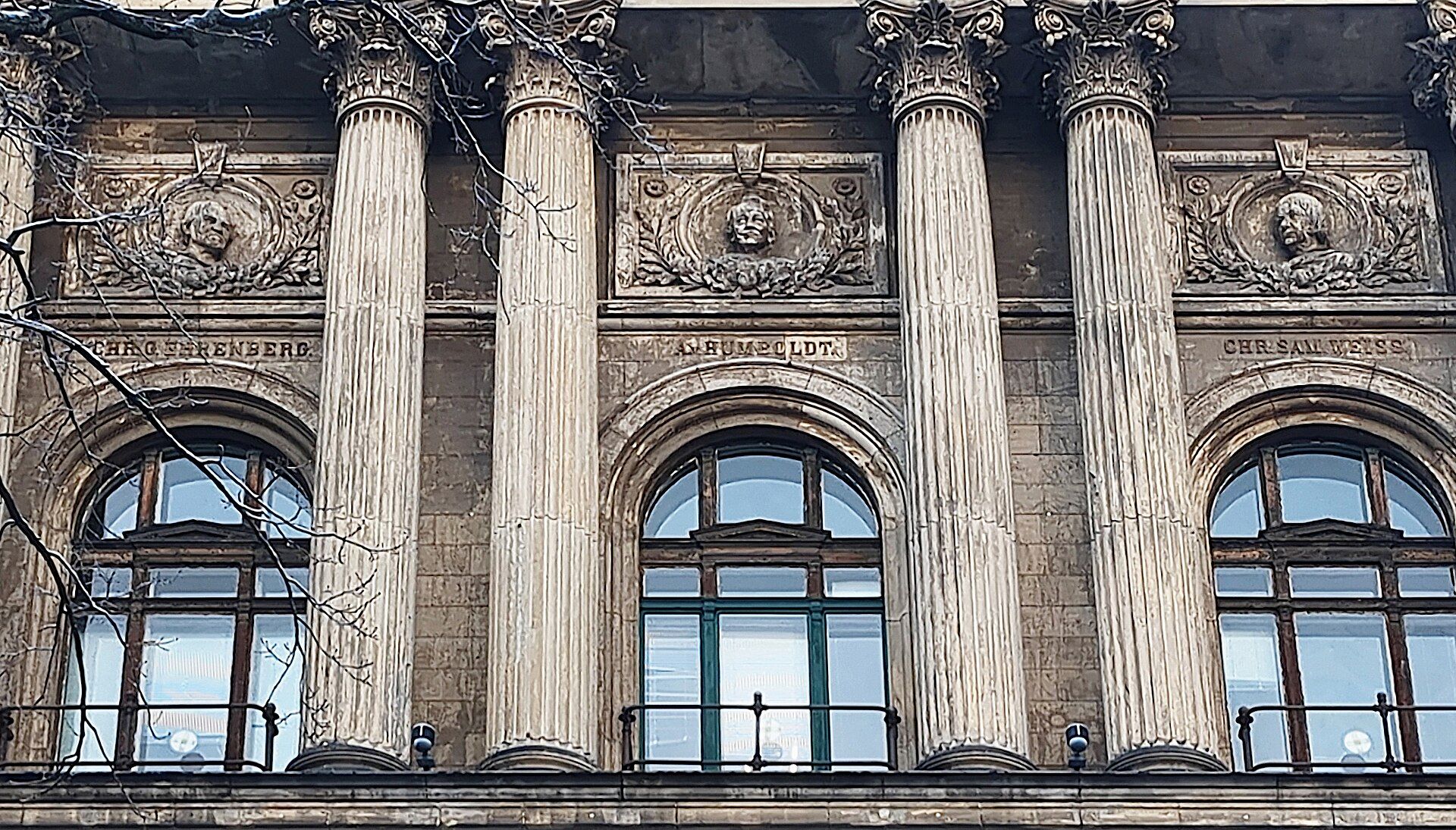Muzeum Historii Naturalnej w Berlinie, atrakcja w pobliżu dworca Berlin Hauptbahnhof