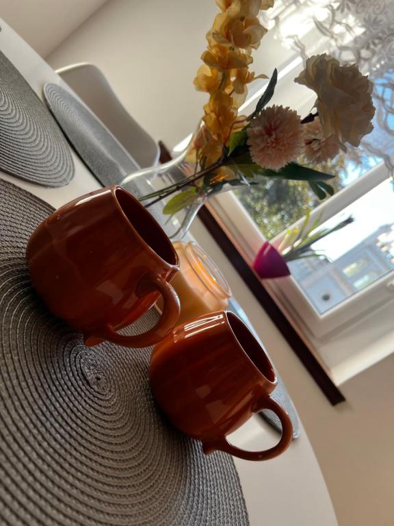 Apartament Wolności, place to stay near Jaworzyna Śląska station