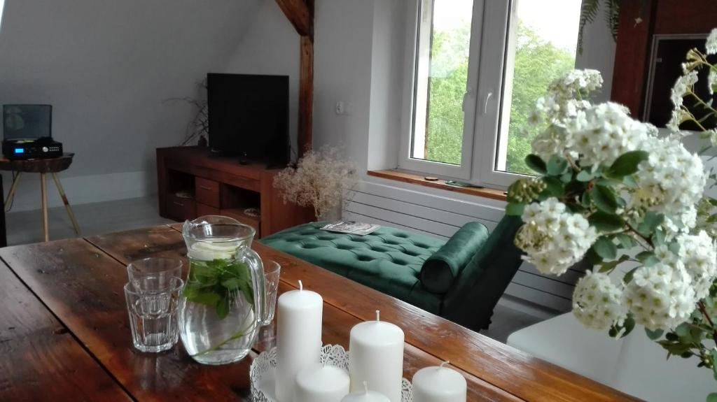 Brzoza i Świerk z widokiem na góry Apartament w centrum uzdrowiska przy Parku i Termach, place to stay near Jelenia Góra Cieplice station