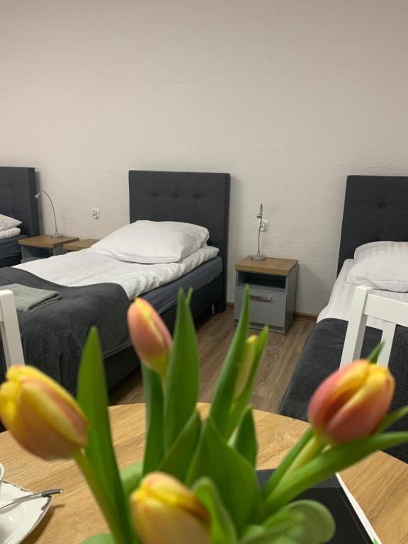 Hostel Adabet, place to stay near Kępno station
