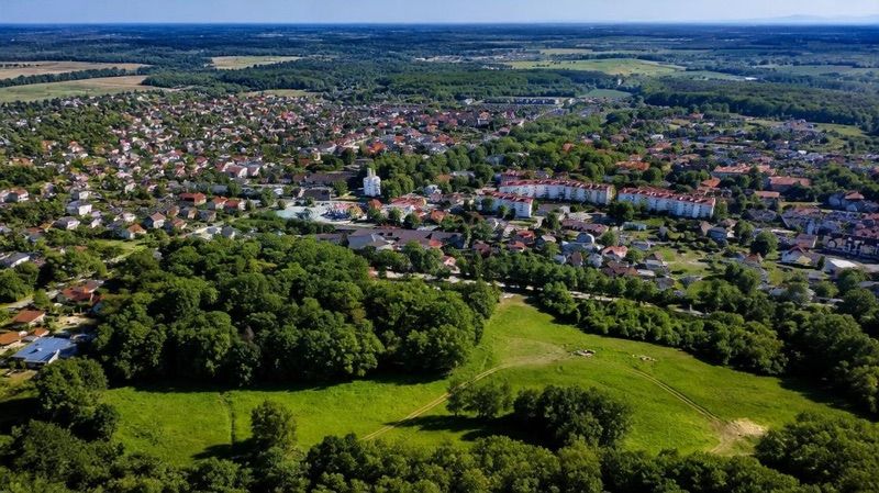 Góra Holtei'a 215 m n.p.m., atrakcja w pobliżu dworca Oborniki Śląskie