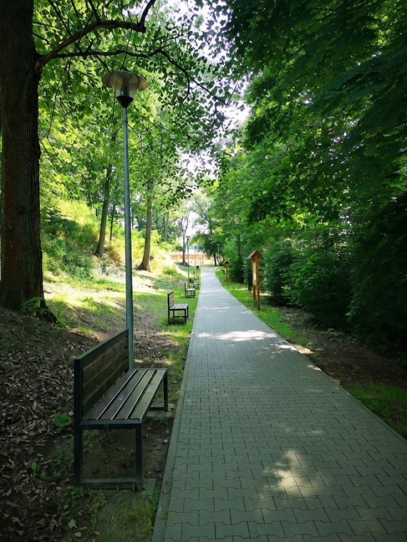 Park Łazienki Obornickie, atrakcja w pobliżu dworca Oborniki Wielkopolskie Miasto