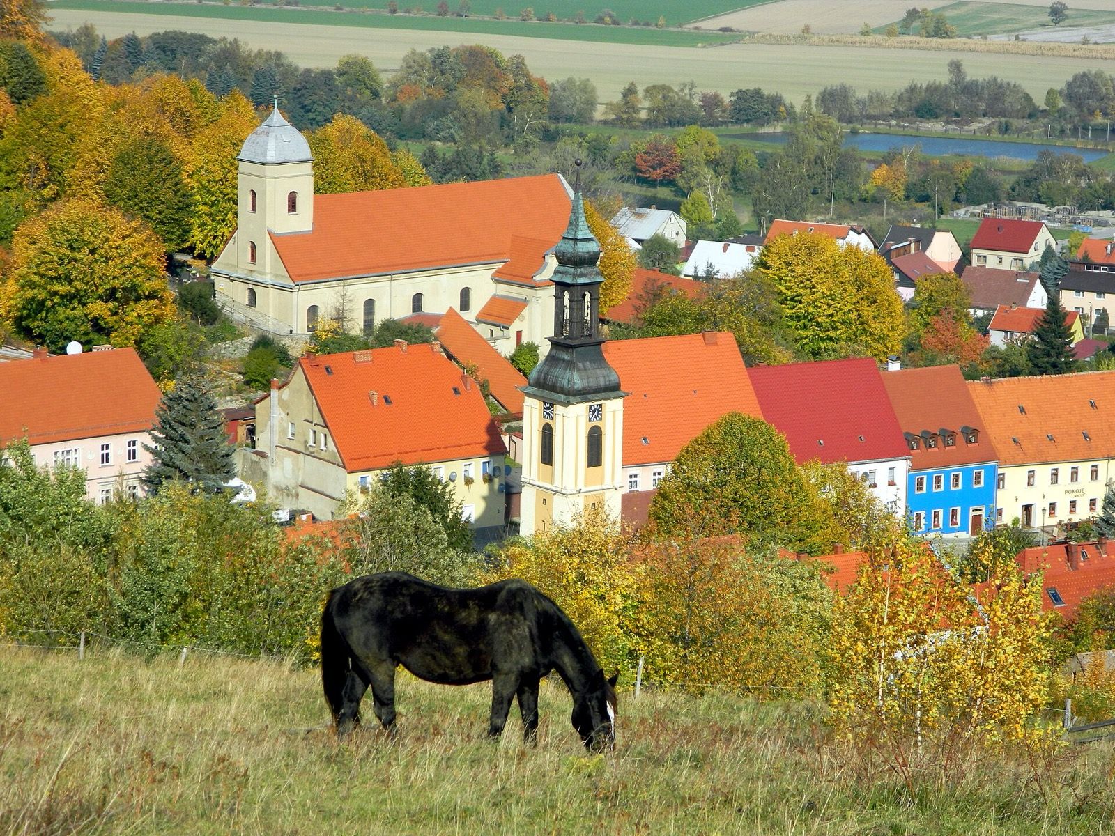 Kościół pw. śś. ap. Piotra i Pawła, atrakcja w pobliżu dworca Oława Zachodnia