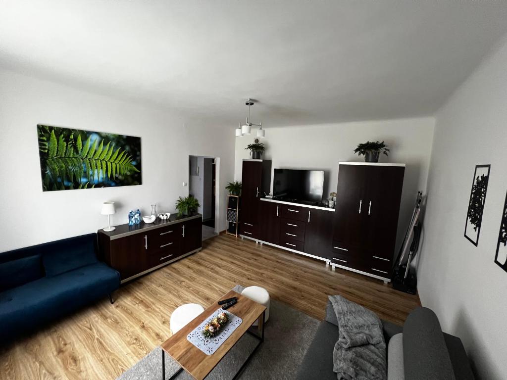 Apartament Paprotka, place to stay near Skarżysko-Kamienna station