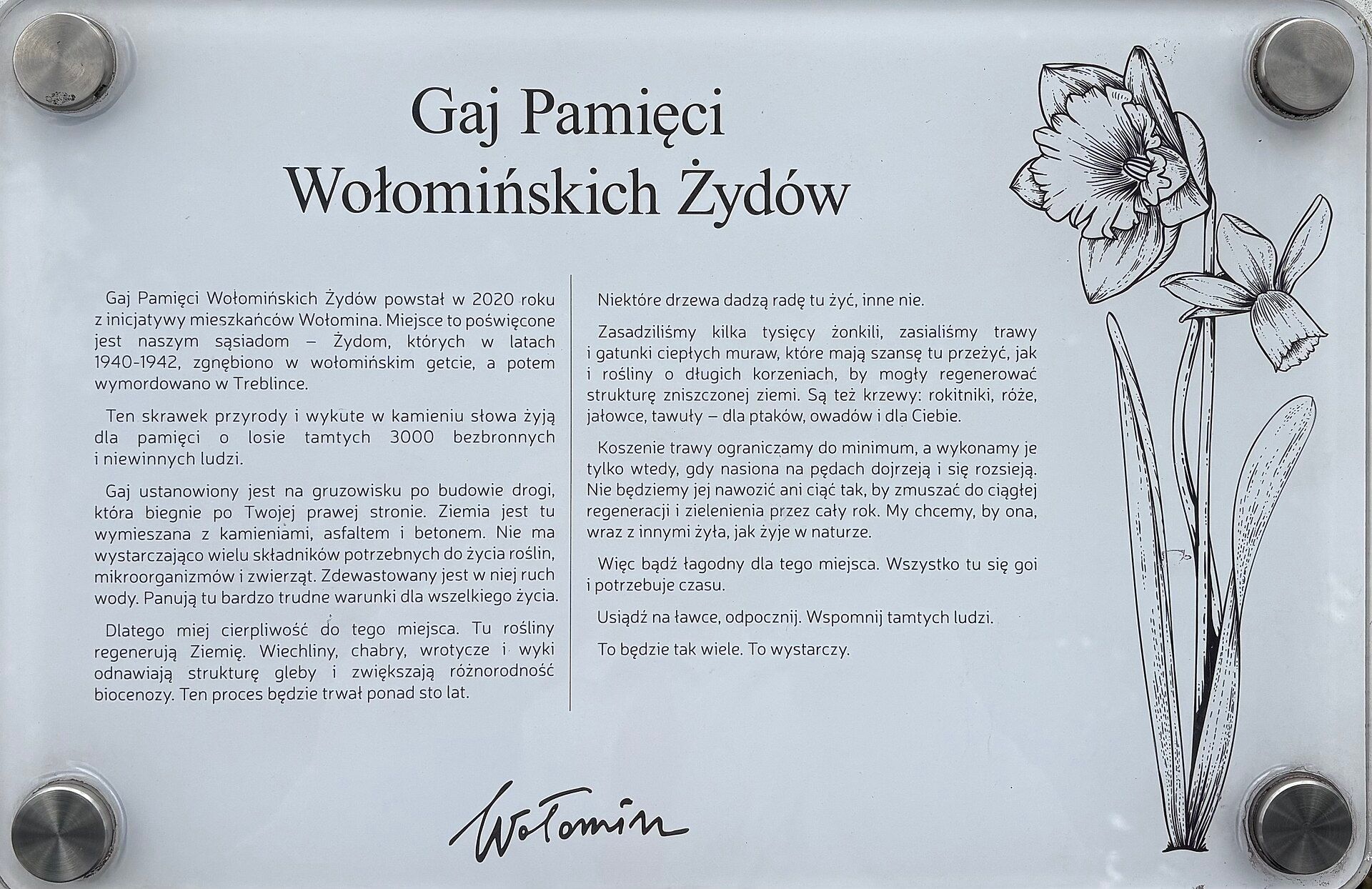 Gaj Pamięci Wołomińskich Żydów, atrakcja w pobliżu dworca Wołomin