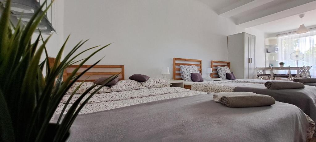 Apartament Na Szkolnej, place to stay near Zator Park Rozrywki station