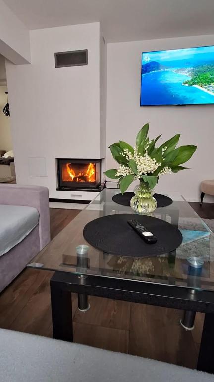 Noclegi Leśne Bagno, place to stay near Zwierzyniec station